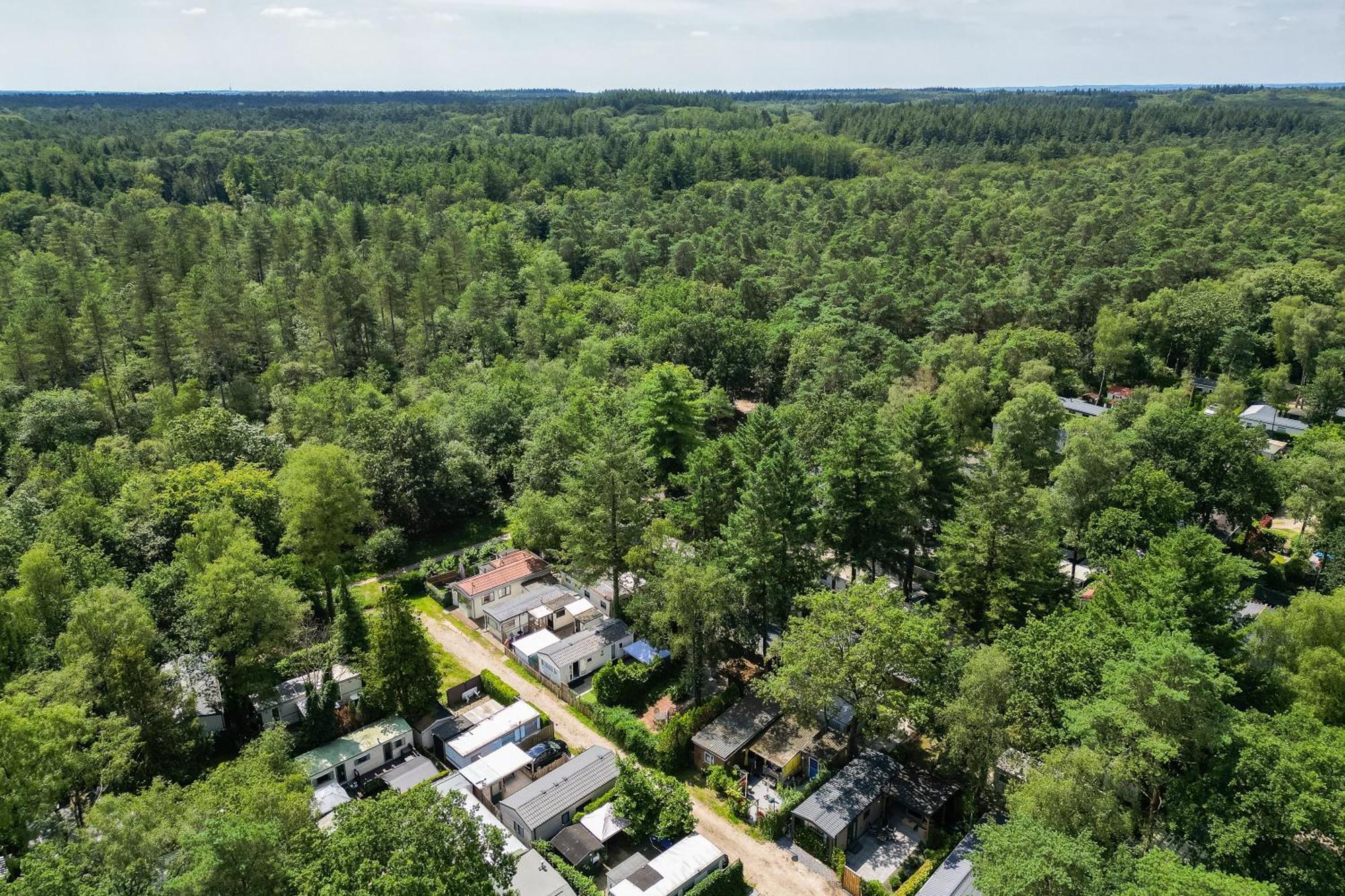Veluwe Hoenderloo Luxury Chalet With Private Sauna And Hot Tub - Swimming Pool Tennis Court Supermarket Bowling Alley Theatre And Entertainment For Children ภายนอก รูปภาพ